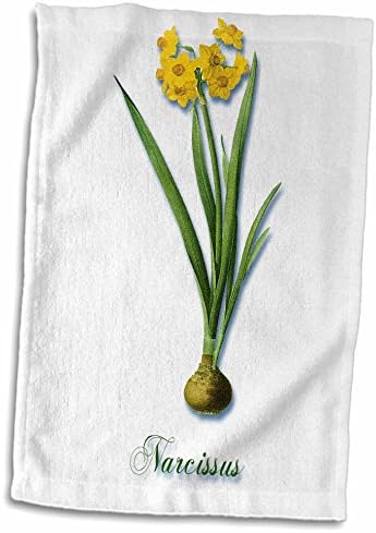 3 דרוז נרקיס, הדפס בוטני של פרח קפיץ צהוב בהיר - מגבות