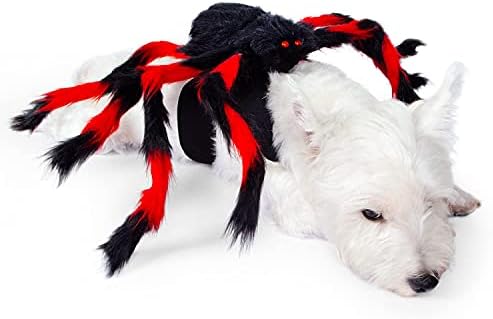 טוהימו ליל כל הקדושים כלב תלבושות עבור קטן או בינוני כלב שחור-אדום עכביש