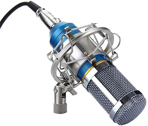 מקצועי הקבל מיקרופון קרדיואיד אודיו סטודיו ווקאלי הקלטת מיקרופון מיקרופון + הלם הר