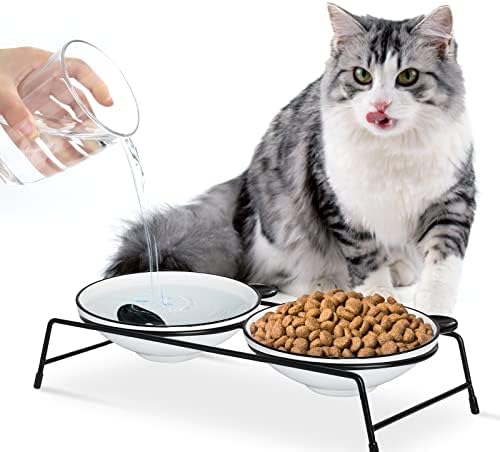 סט קערות מזון לחתולים, קערות חתול מוגבהות קרמיקה 20 אונקיות למזון ומים, 2 קערת כלים לחיות מחמד עם מעמד נירוסטה