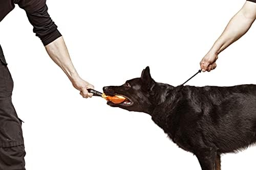 דינגו הילוך צווארון חנק לאימוני כלבים בעבודת יד של חוט עם 2 מגבילים עמיד למים שחור L S04049
