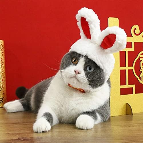 Gofidin 2 חבילה ארנב אוזניים כלב חתול חתול PET פסטיבל כיסוי ראש מתנה ארנב כובע דראג כובע ראש מחמד ארנב ארנב