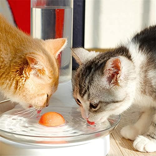 חתולי מתקן מים חתולים אספקת ניתק אנטי גלגול אוטומטי מים חידוש חתולי שתיית מים