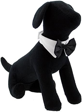 כלב עיצוב רשמי שחור כלב עניבת פרפר