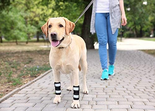 פלטות דחיסת רגליים קדמיות לכלבים כלב תומך במיוחד עם רצועות קפיצים ממתכת לייצוב שורש כף היד של הרגל הקדמית של
