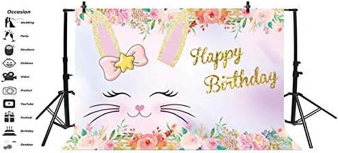 10 על 7 רגל ויניל יום הולדת שמח רקע פורח פרח צילום רקע חמוד מחייך חתול ראש יום הולדת חגיגת מסיבת רקע ילדי