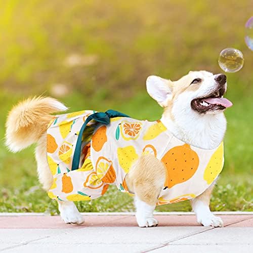 אורטוט 4 חתיכות שמלת חיות מחמד חמודה שמלת כלב עם שמלת גור קשת מקסימה תות דובדבן לימון לימון בגדי כלבים לכלבים