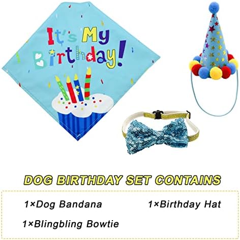 בנדנה יום הולדת של ליברי כלב, כלב חמוד כלב בנות בנות יום הולדת צעיף בנדנה עם כובע מסיבת יום הולדת ועניבת