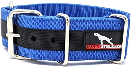 ספורטאי כלבים כחול/שחור עילית-HD צווארון כלב עובד צווארון כבד פיטבול צווארון