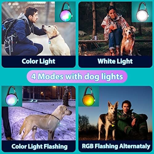 כלב צווארון אורות עבור לילה זמן, 4 מצבי כלב צווארון אור נטענת הוביל אור עבור כלב צווארון, אייפ68 עמיד למים כלב
