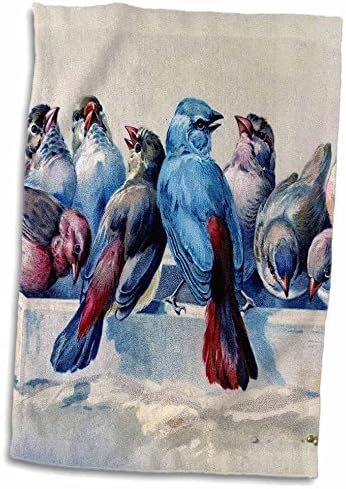 3drose פלורן וינטג ' - ציפורי כחול צבעוניות עם זנבות אדומים - מגבות