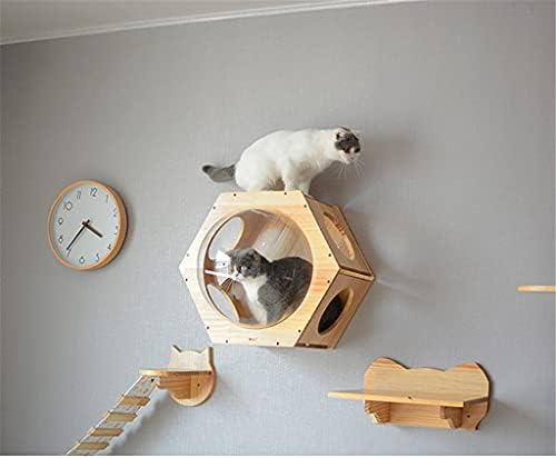 קיר רכוב חתולי טיפוס מסגרת חתולי עץ משושה קפסולת חלל חתולי קיר בית לשחק מערת חתלתול צעצוע מיטה לחיות מחמד ריהוט