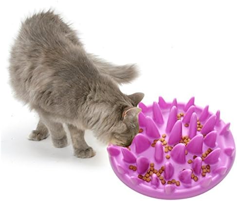 חתול לתפוס אינטראקטיבי מזין קערה-איטי להאכיל נגד בליעה להתפיח להפסיק לחיות מחמד קערת-חתול האכלת קערות