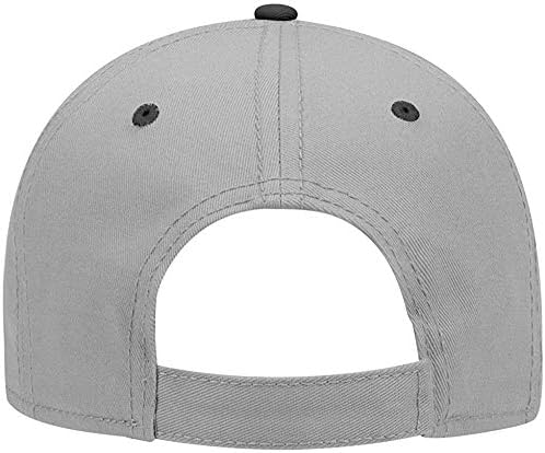 Ashen Fane 6 פאנל מובנה פרופיל נמוך כותנה מעולה כובע בייסבול בסיסי