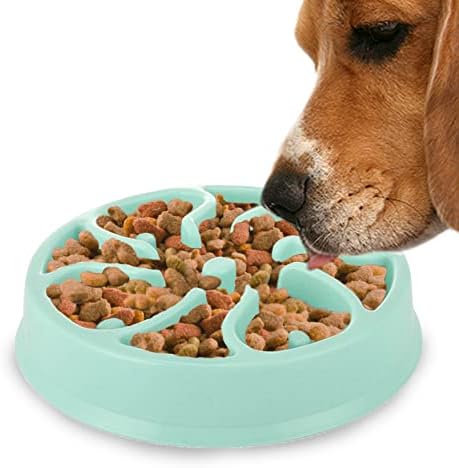 מרק איטי כלב להאכיל קערה, מקדם אינטראקטיבי, איטי אכילה, החלקה עיצוב, שולט רעב, 1 מחשב