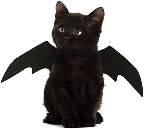 DPOIS PET BAT כנפי גלימת תלבושת קוספליי ליל כלב לכלב כלב חתול חג נופש פסטיבל מסיבת לבוש לבוש תלבושת שחורה
