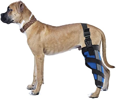 כלב אחורי רגל סד מתכוונן כלב הברך סד עם מתכת רצועות ורצועה רעיוני, כלב סד עבור רגל אחורית פציעה,