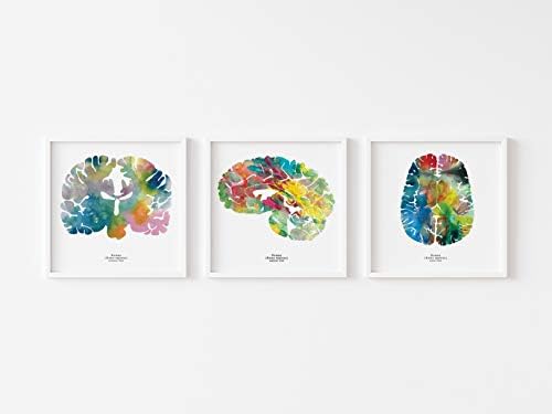 אמנות קיר פסיכולוגיה מודרנית-האנטומיה של המוח האנושי-מתנת בריאות נפש מעוררת השראה + מתנת סטודנטים