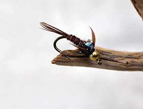 ראש חרוז פלאש אחורי פסיון זנב נימפה נימפה קשורים על ווים זבוב חתימת מוסטד - 12 זבובים