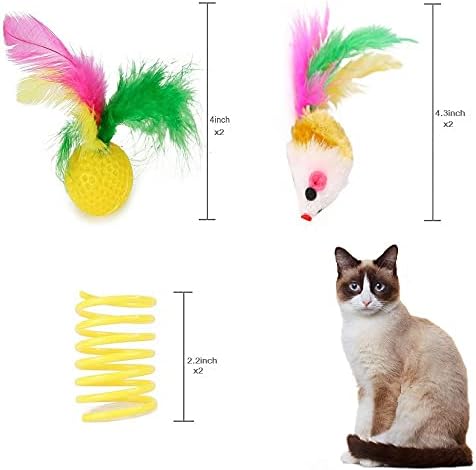 LEPOO 14 PCS צעצועים לחתולים מגוון צעצועים לחתלתול, סט צעצועים כולל מנהרת דרך, שרביט צעצועים לחתולים