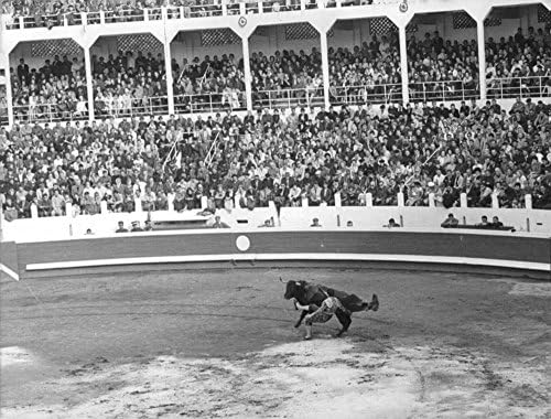 צילום וינטג 'של אצטדיון מלא בצופים שצופים ב- El Cordob233; נלחם בשור בטבעת השור .- 1965