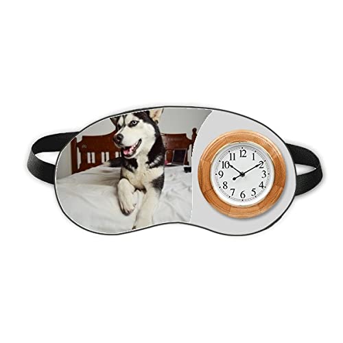 חדר בעלי חיים כלב תמונה האסקי שינה עין עין שעון שעון גוון כיסוי