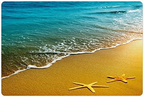 אמבסון כוכב ים לחיות מחמד מחצלת עבור מזון ומים, קיץ עונת שקיעת נוף קו החוף חול גלים רגוע שלווה אי גן עדן,