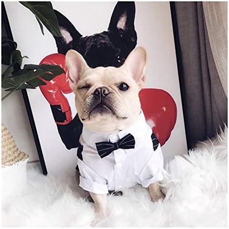 Zsyxm כלב חיית מחמד לבגדים חולצת עניבת בגדים מתאימה למסיבת חתונה בגדי חיות מחמד בגדים לכלב טוקסידו