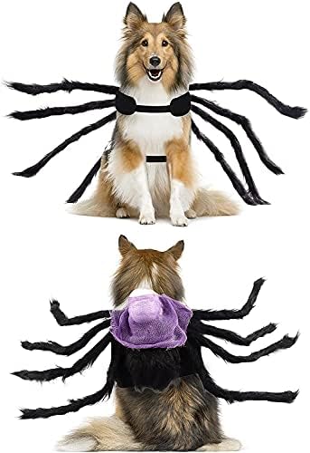 תלבושות עכביש של כלב ליל כלב - כלב חיית מחמד של Liiyzy כלב עכביש תלבוש
