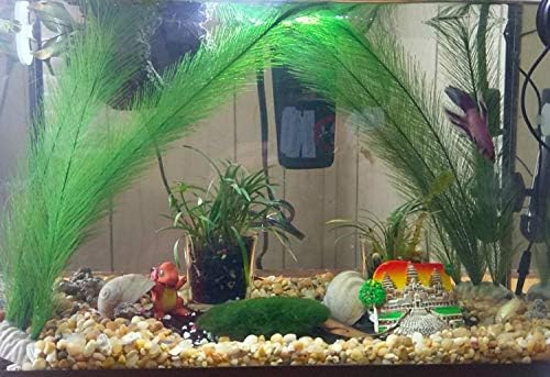 משי אקווריום קישוטי צמחים-דגי טנק דקור צמחי פלסטיק מים צמחים ירוק מלאכותי צמח מים בטה דגי אביזרי