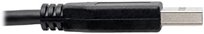 טריפ לייט USB C ל- USB כבל, USB 3.1 GEN 1, זכר לזכר, שחור, 6-רגל.