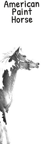 Art Dog Ltd. סוס צבע אמריקאי, קופסת יין מעץ עם תמונה של סוס
