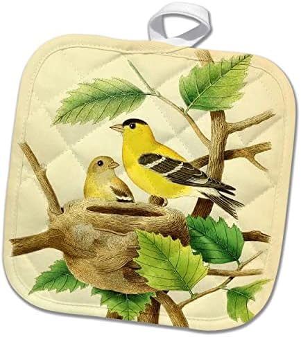 3drose וינטג 'אמנות ציפור הדפסה אמריקאית גולדפינץ' ציפורים צהובות יפהפיות. - פוטולדרים