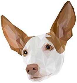 כלב איביזן, לוח קרמיקה מצבה עם תמונה של כלב, גיאומטרי
