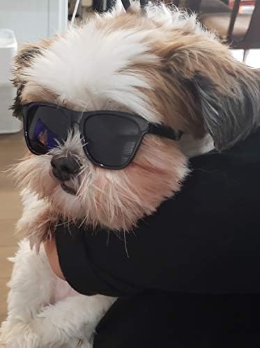 G014 מחמד כלב משקפי שמש משקפי שמש משקפי שמש לכלבים קטנים עד 15 קילוגרמים
