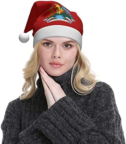 זלטאס גרנדה מעיל של זרועות חג המולד כובע למבוגרים רך נוח סנטה כובעי חג המולד לשנה חדשה חג ספקי צד