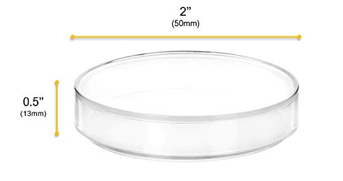 פלסטיק פטרי צלחת עם מכסה-2 קוטר, 0.5 עומק-יצוק בפוליפרופילן-לשימוש חוזר-שקוף-אייסקו מעבדות