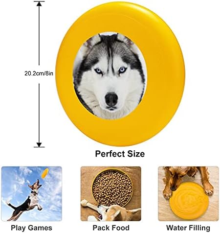 DISCESTAR 10.39 כלבים עגולים דיסק מעופף לאימוני עקיצות כלבים צעצועים עמידים
