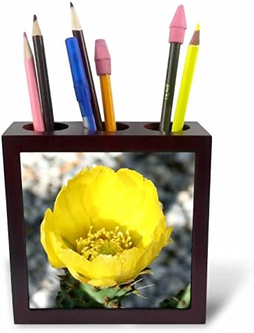 3רוז אופונטיה פיקוס - פרח אינדיקה של האגס הדוקרני מקרוב-מחזיקי עט אריחים