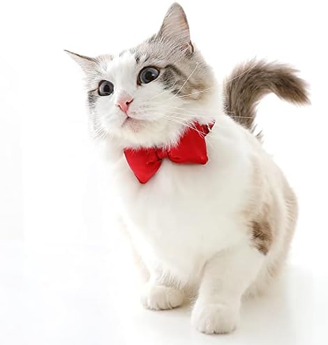 קולרים לחתולים ילד חתול קולרים עניבת פרפר וחמוד קסם אדון חתול קולרים משובץ קולרים חתול ספקי