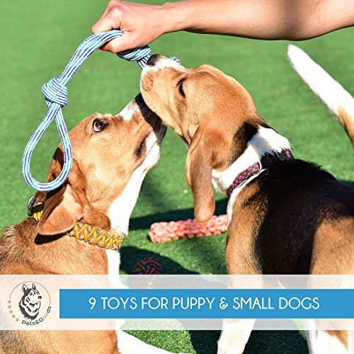 צעצועי כלבים - צעצועי לעיסת גור - צעצועי חבל לכלבים קטנים - צעצועי בקיעת שיניים בגורים בטוחים - צעצועי