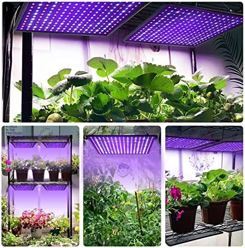 Tuhpibk 600W LED LED צומח אור, צמח מלא צמח מנורה עם נוריות LED לבנות בצבע כחול אדום לצמחים מקורה,