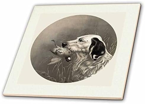 3דרוז תמונה של ספיה וינטג תמונה של כלב ציפור צילום מקרוב-אריחים