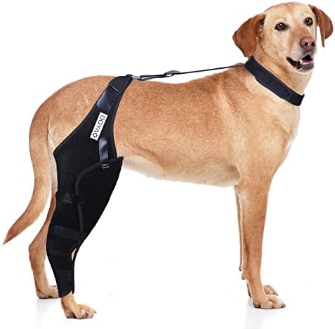 דיגיאו כלב הברך סד עבור עקירה, הברך כובע נקע, דלקת פרקים-מלא לעטוף-קל מתכוונן - תמיכה נוספת-מפחית כאב ודלקת-מלא