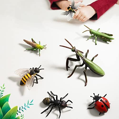 Inoomp מודל קוגניטיבי דגמי פלסטיק דגמי פאזל צעצועים קטנים קטנים צעצועים 1 הגדרת מחזור חיים צמיחה צעצוע