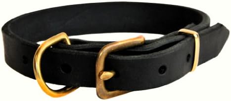 דין וטיילר B&B צווארון כלבים - חומרת פליז מוצקה - רוחב שחור - גודל 38 x 1. מתאים לגודל הצוואר 36
