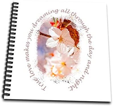 3 דרוז פרחי סאקורה מגניבים - פריחת דובדבן. אהבה אמיתית הופכת אותך. - ציור ספרים