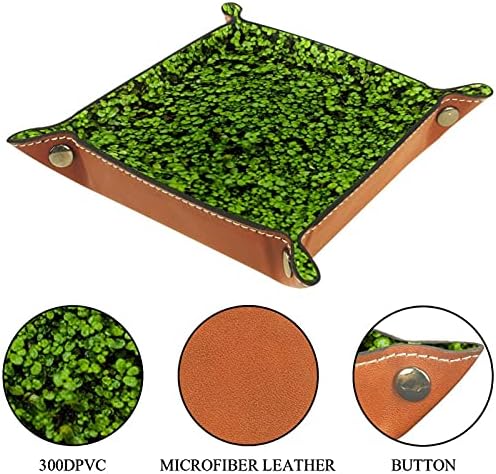 שדה תלתן טבעי ירוק למיטה או כניסה צלחת אחסון שולחן כניסה