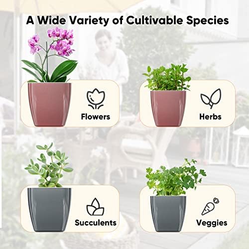 סירי צמחים המופלטים - סירי השקיה עצמית לצמחים מקורה - אדניות לצמחים מקורה - חבילה של 6 4 ו -5 עציצים סגולים