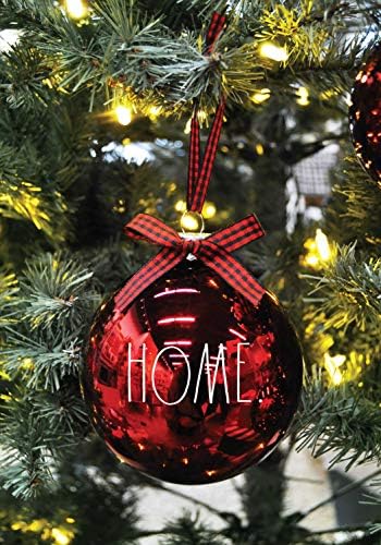 RAE DUNN קישוטים לחג המולד - סט של 4 כדורי זכוכית אדומים וצלולים - בית מתוק בית - 100 ממ / 3.94 אינץ 'קישוטי